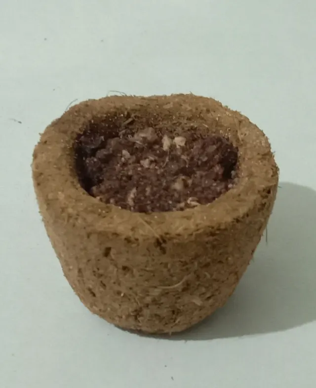 பஞ்சகவ்யா தூப் - Panchakavya dhoop